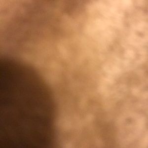 Meet your Posher, Lynette